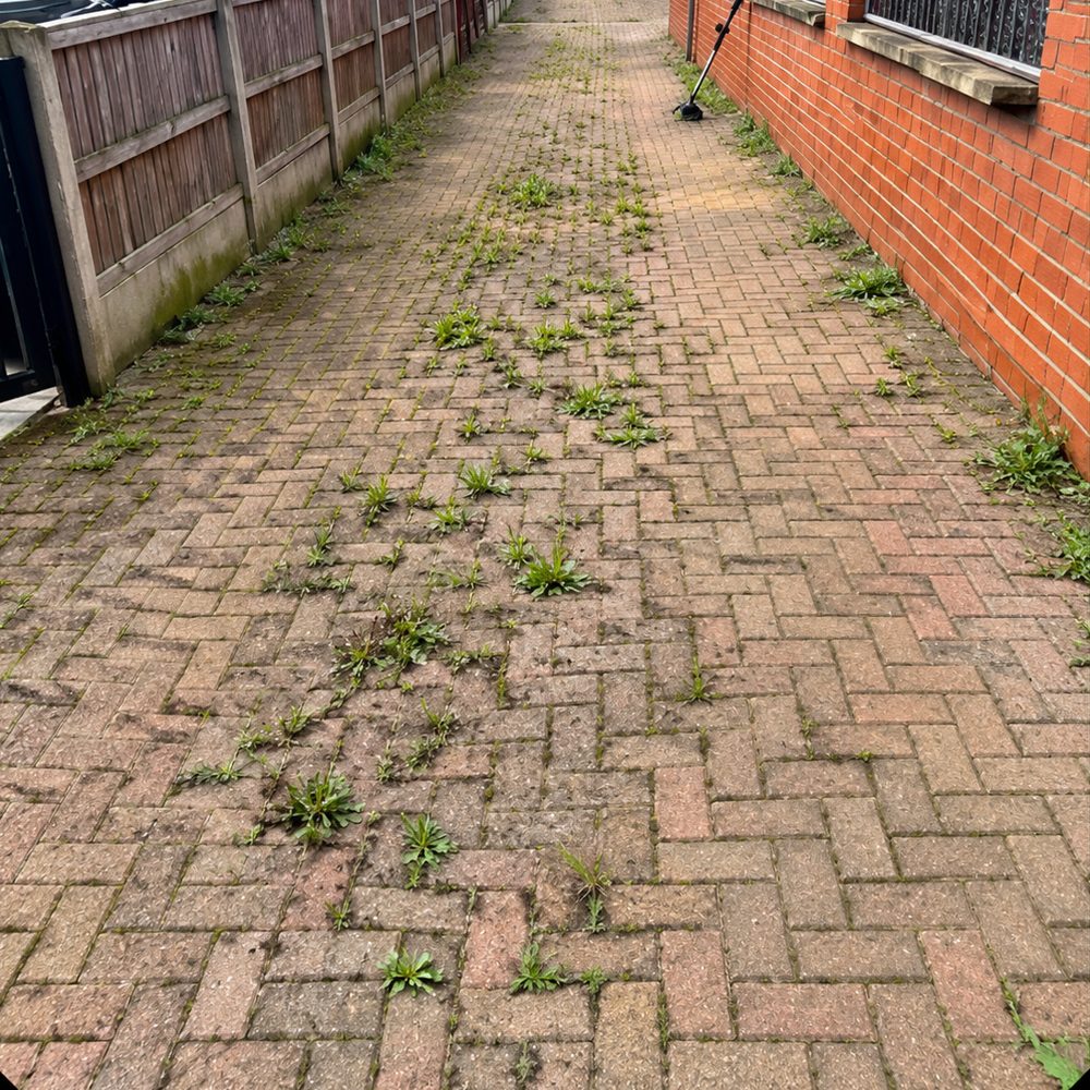 Block-paved driveway covered in weeds before clearance
